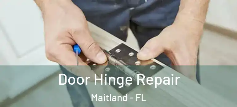  Door Hinge Repair Maitland - FL