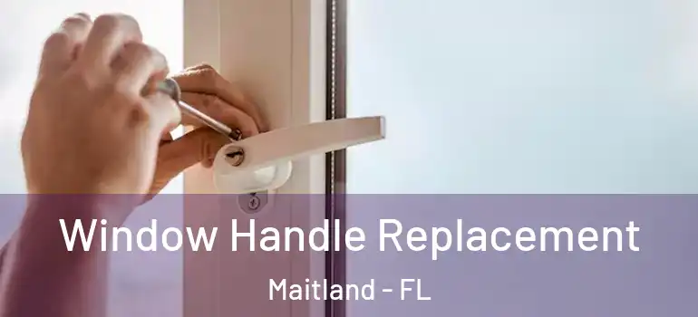  Window Handle Replacement Maitland - FL
