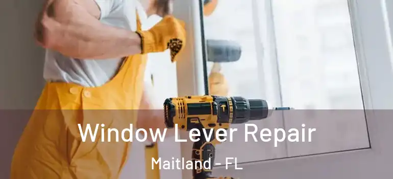  Window Lever Repair Maitland - FL